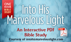 Into His Marvelous Light